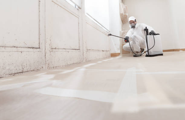 24/7 Emergency Attic Mold Remediation experts in Redmond, WA